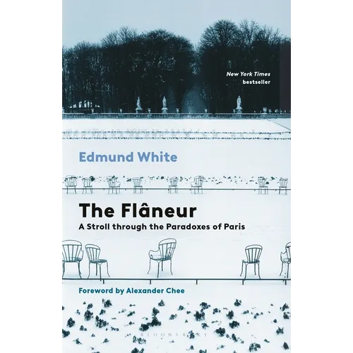 The Flaneur: A Stroll Through the Paradoxes of Paris