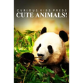 Cute Animals! - Curious Kids Press: (Picture book, Children's book about animals, Animal books for kids 5-7)