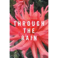 Through the Rain