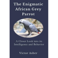 The Enigmatic African Grey Parrot: A Closer Look into its Intelligence and Behavior