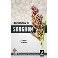 Handbook of Sorghum