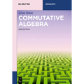 Commutative Algebra