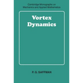 Vortex Dynamics