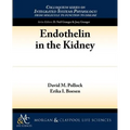 Endothelin in the Kidney