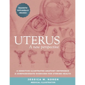 Uterus: A new perspective