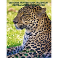 Big-game hunting and trading in Central Africa 1894 to 1904