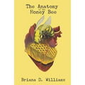 The Anatomy of the Honey Bee