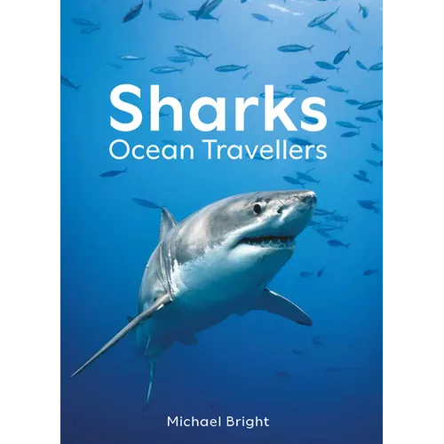Sharks: Ocean Travellers