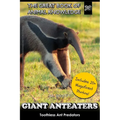 Giant Anteaters: Toothless Ant Predator