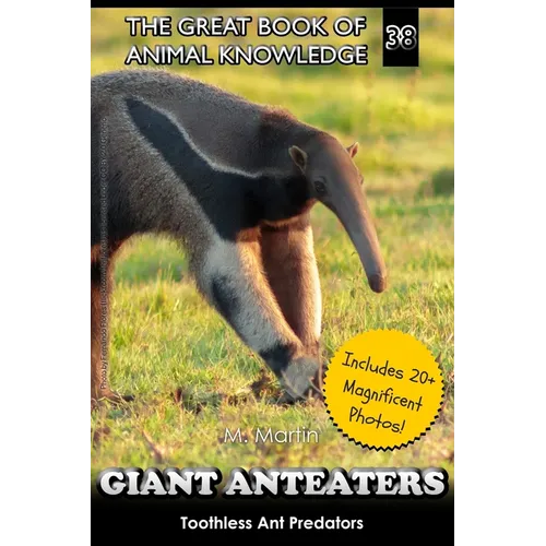 Giant Anteaters: Toothless Ant Predator