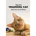 Tips For Training Cat: Teach Your Cat To Behave: Can You Teach A Cat Commands?