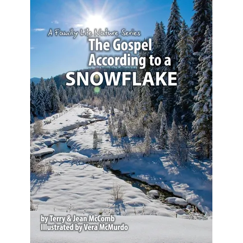 The Gospel According to a Snowflake