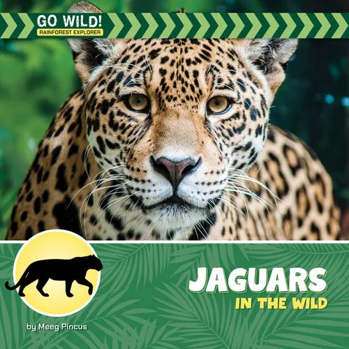 Jaguars in the Wild
