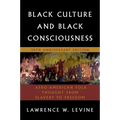 Black Culture and Black Consciousness: Afro-American Folk Thought from Slavery to Freedom