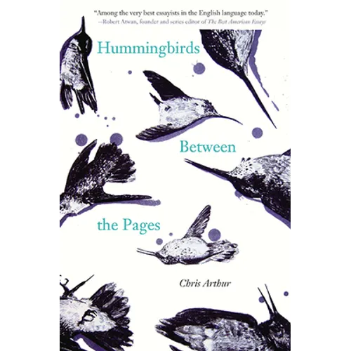 Hummingbirds Between the Pages