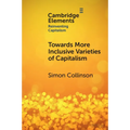 Towards More Inclusive Varieties of Capitalism
