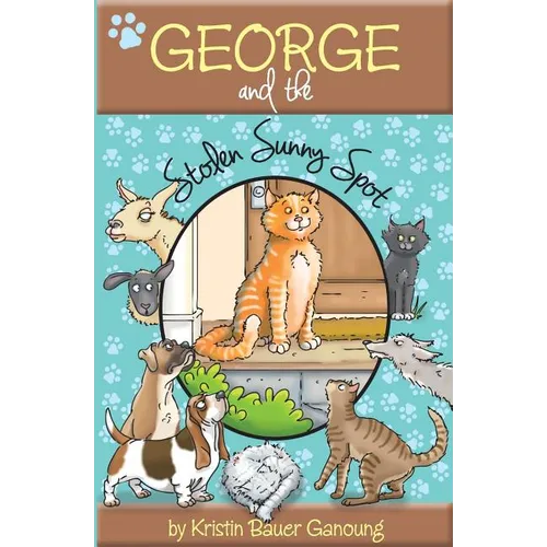 George and the Stolen Sunny Spot