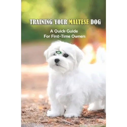 Training Your Maltese Dog: A Quick Guide For First-Time Owners: How To Potty Train A Maltese