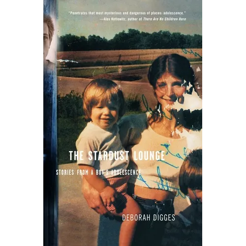 The Stardust Lounge: Stories from a Boy's Adolescence