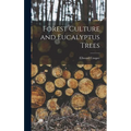 Forest Culture and Eucalyptus Trees