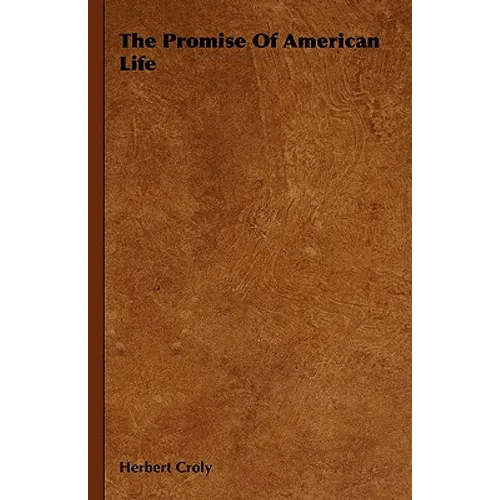 The Promise Of American Life
