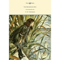 The Brushwood Boy - Illustrated by F. H. Townsend