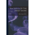 Sea Shells Of The Jersey Shore