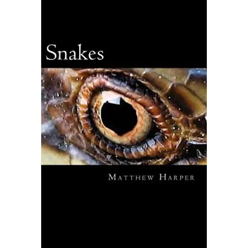 Snakes: A Fascinating Book Containing Snake Facts, Trivia, Images & Memory Recall Quiz: Suitable for Adults & Children