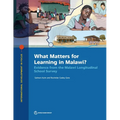 What Matters for Learning in Malawi?: Evidence from the Malawi Longitudinal School Survey
