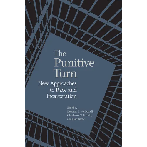 Punitive Turn: New Approaches to Race and Incarceration