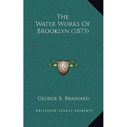 The Water Works of Brooklyn (1873)