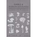 Edible and Poisonous Fungi - Illustrated in Colour