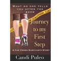 Journey to My First Step: A car crash survivor's story
