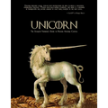Unicorn - The Startup Founder's Guide to Raising Venture Capital
