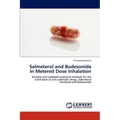 Salmeterol and Budesonide in Metered Dose Inhalation
