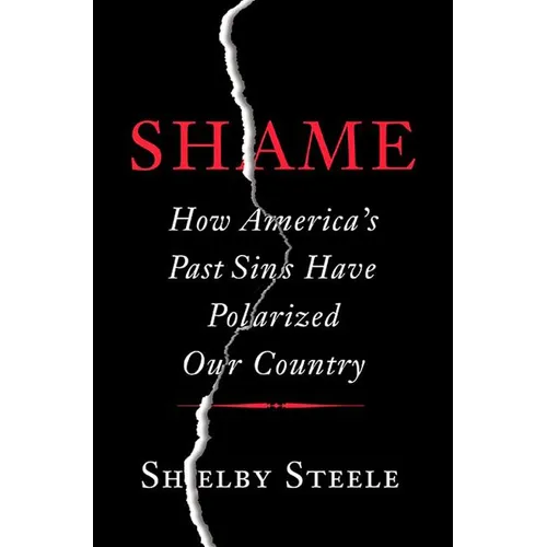 Shame: How America's Past Sins Have Polarized Our Country