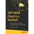 SAP Hana Cloud in a Nutshell: Design, Develop, and Deploy Data Models Using SAP Hana Cloud