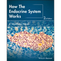 How the Endocrine System Works