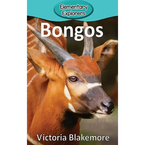 Bongos