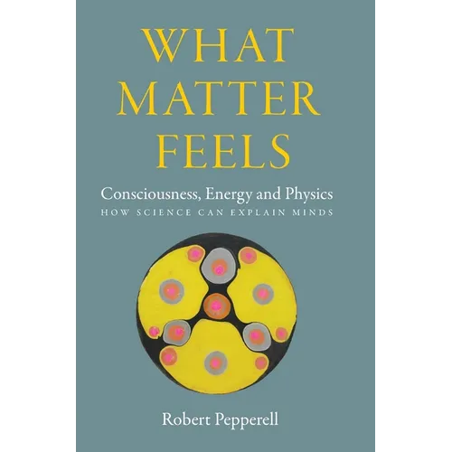 What Matter Feels: Consciousness, Energy and Physics (How Science can Explain Minds)