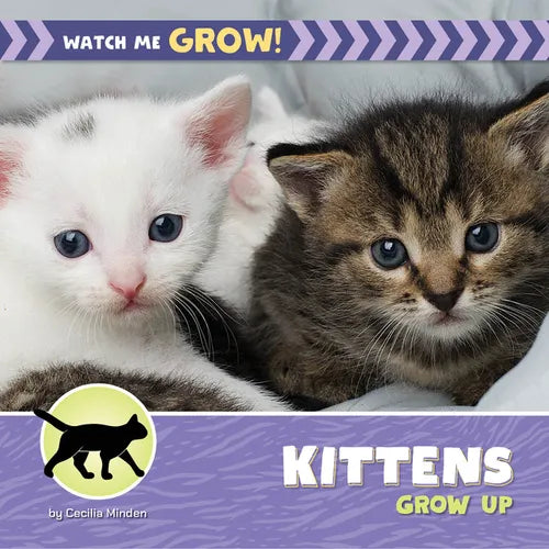 Kittens Grow Up