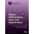 Kidney Inflammation, Injury and Regeneration