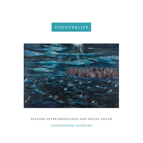 Counterlife: Slavery After Resistance and Social Death