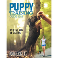 Puppy Training Guide 2021: Perfect Dog in 7 Steps!