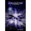 A Second Life In Virtual Worlds