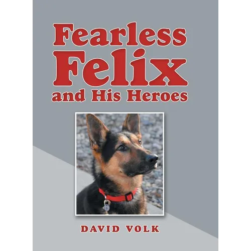 Fearless Felix and His Heroes