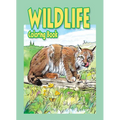 Wildlife Coloring Book