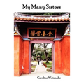 My Many Sisters, the Journal of a Volunteer with the Daughters of Charity