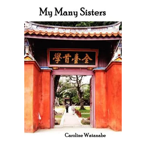 My Many Sisters, the Journal of a Volunteer with the Daughters of Charity