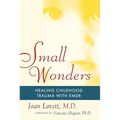 Small Wonders: Healing Childhood Trauma with Emdr